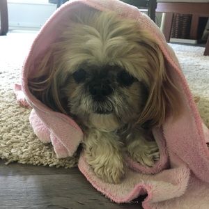 Meet your Posher, Mary